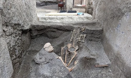 schelete pompei descoperiri jpg