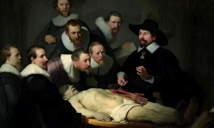 Arta anatomiei jpeg