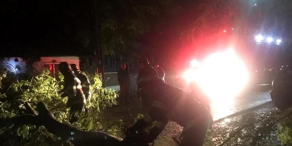 slobozia copaci doborati de furtuna foto isu ialomita