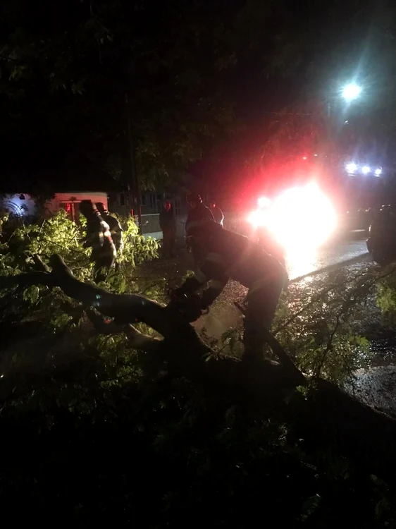 Pompierii au acţionat pentrui degajarea carosabilului FOTO ISU Ialomiţa