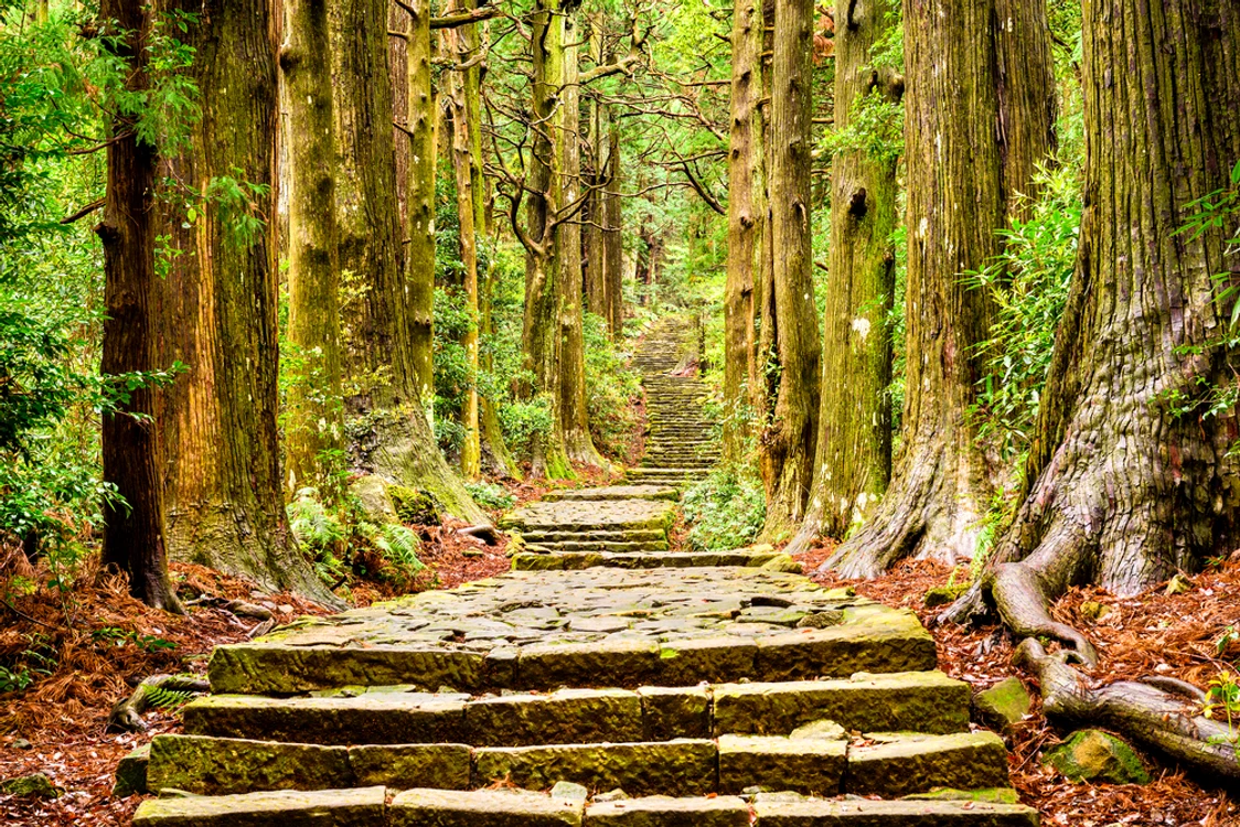 Calea Kumano Kodo Foto Shutterstock