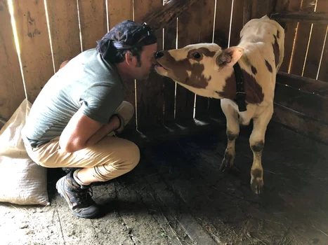 2 charlie ottley poem pentru romania ministerul turismului 4 jpg jpeg