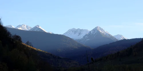 hunedoara
