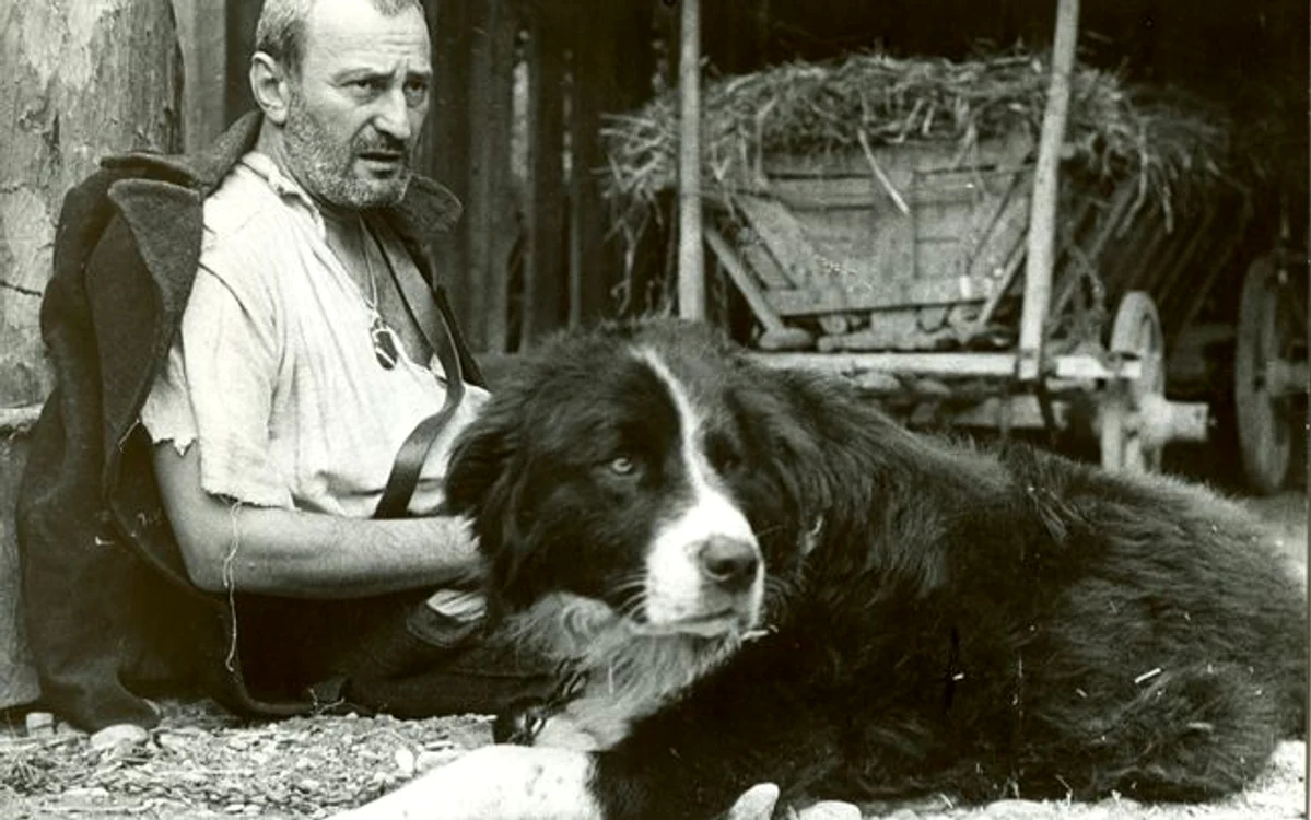Amza Pellea