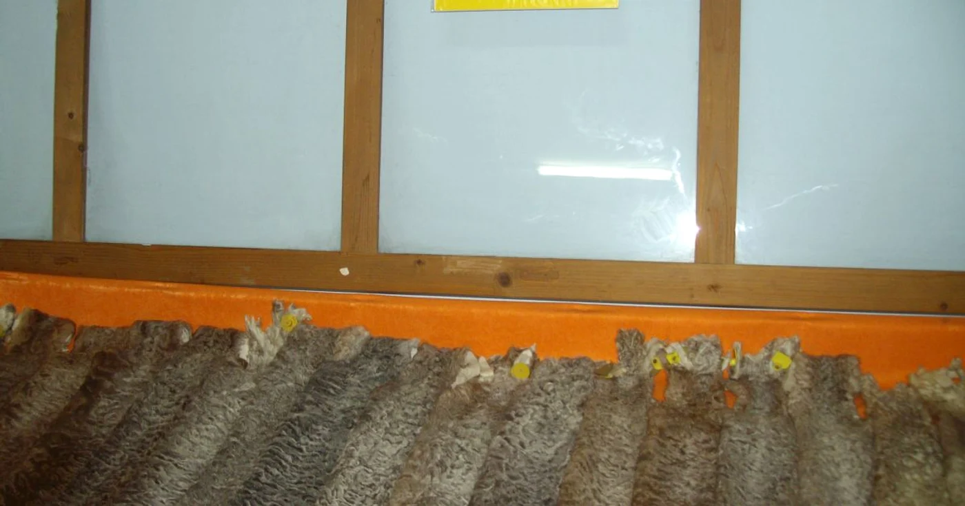 Staţiunea de Cercetare Popăuţi a reuşit să obţină pielicica roz