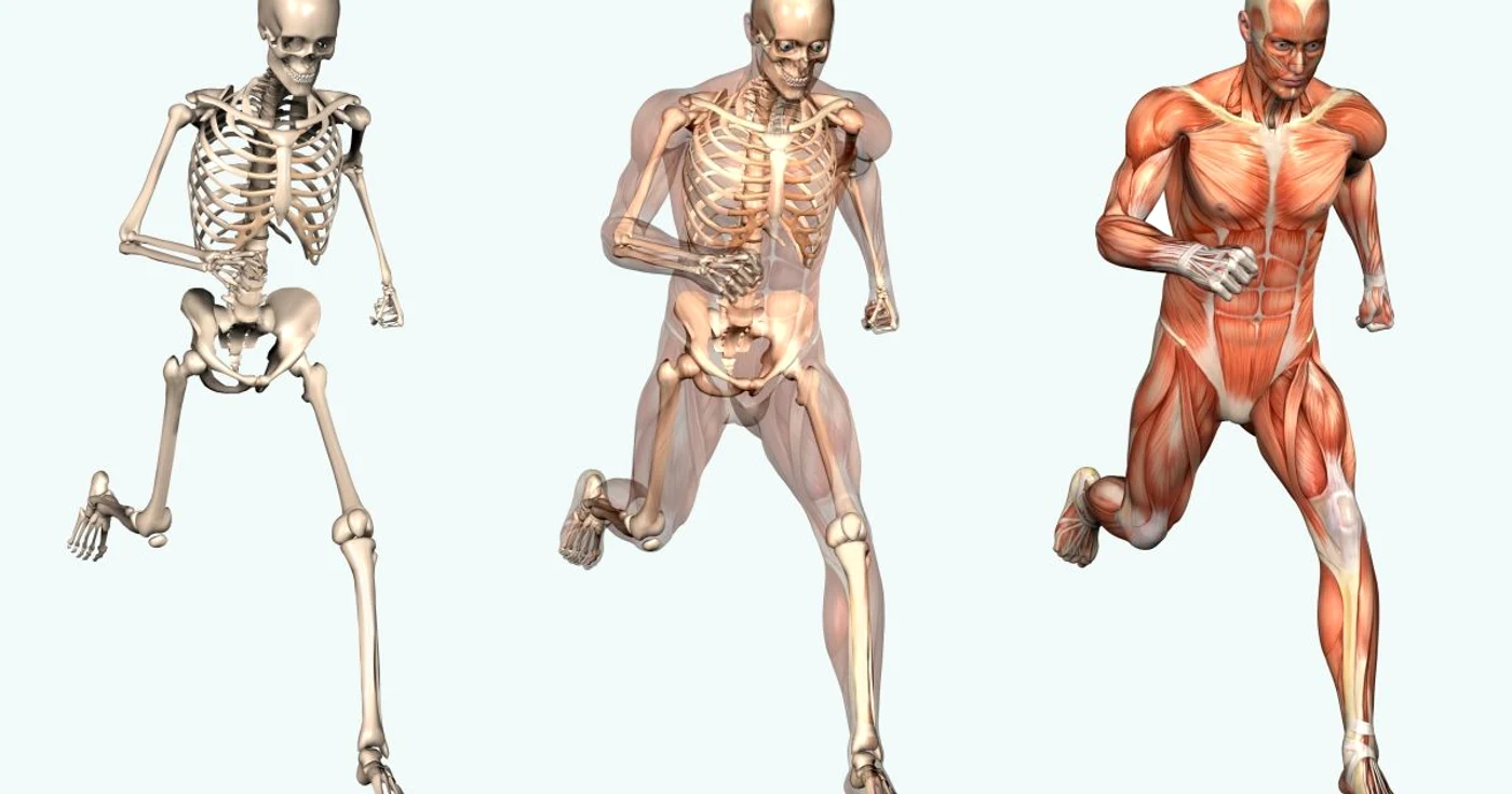 Artroscopia este o metoda de diagnostic, care poate fi folosita si ca tratament