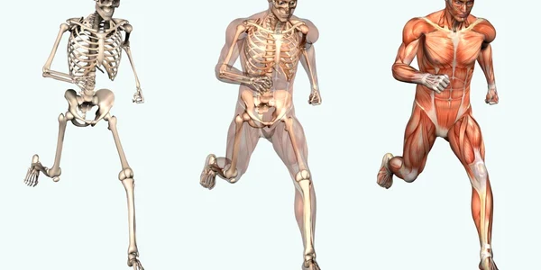 Artroscopia este o metoda de diagnostic, care poate fi folosita si ca tratament