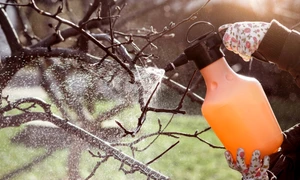 stropire pomi, foto shutterstock jpg