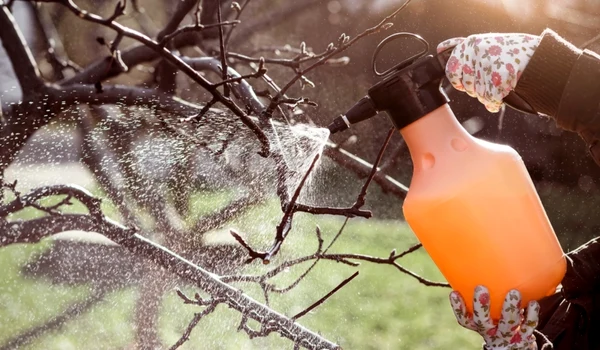 stropire pomi, foto shutterstock jpg