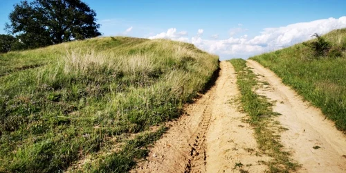 necropola de pe dealurile silvasului foto daniel guta adevarul