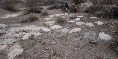 ramasite desert nevada FOTO The Sun