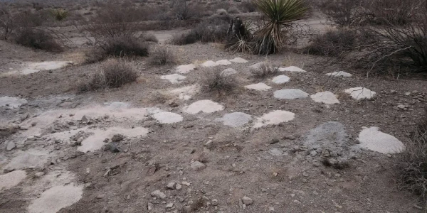 ramasite desert nevada FOTO The Sun