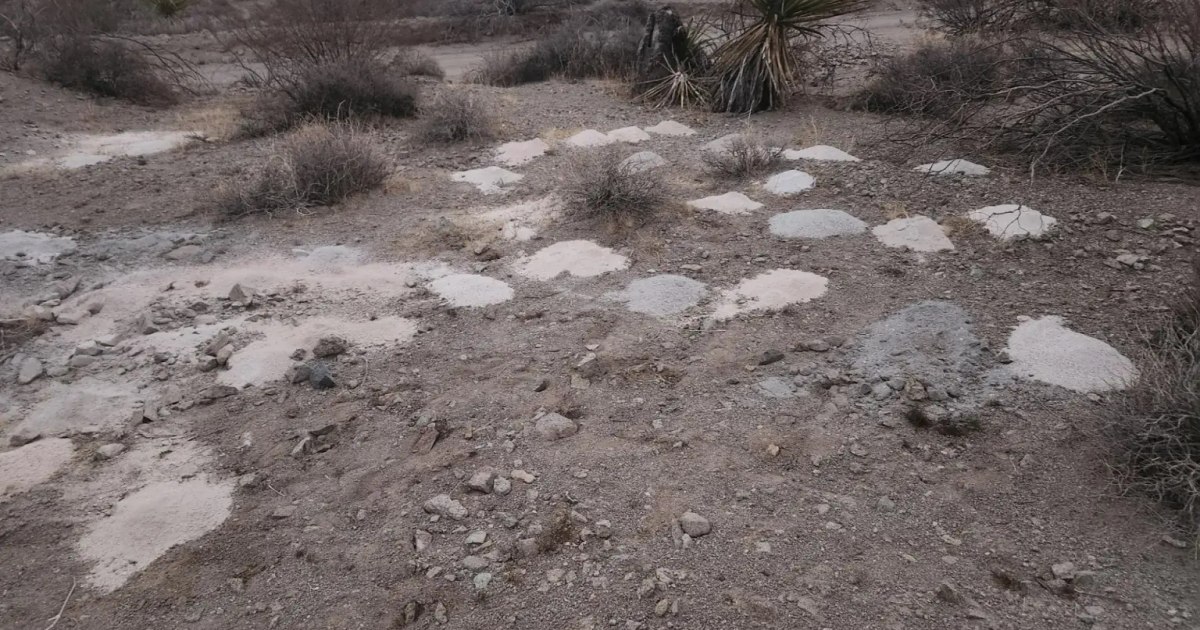 Descoperire macabră lângă Las Vegas. Peste 300 de grămezi de cenușă umană, aruncate în deșert