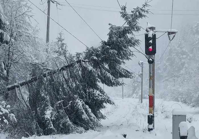 Circulația trenurilor afectată din cauza condițiilor meteo Foto: CFR Infrastructură/Facebook