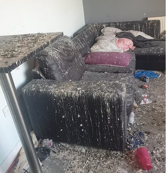 Dezastru într-un apartament din Londra, provocat de porumbei. Cum arată și cât costă renovarea locuinței distruse FOTO