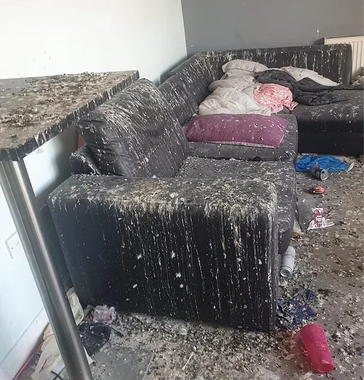 Casa arată ca după dezastru FOTO Daily Mail