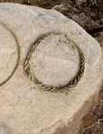 Două inele pentru gât neobișnuite din Epoca Bronzului, descoperite într-un mormânt vechi de 2.500 de ani (© Arkeologerna)