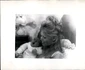 3 bardot 2 profimedia 0209848394 jpg jpeg