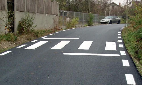 6 act 1 zebra 5col 895151 jpeg
