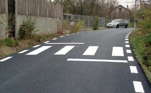 O ruşine: zebra asta face legătura între un gard şi un şanţFoto: adevarul.ro