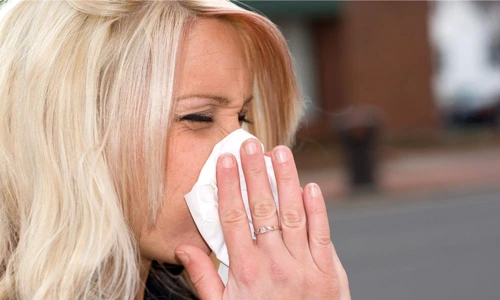 1 56396 original jpg jpeg