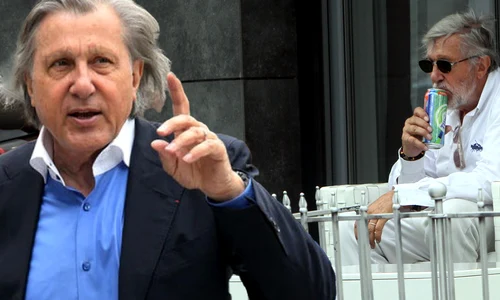 cub ilie nastase png