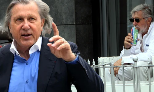 cub ilie nastase png