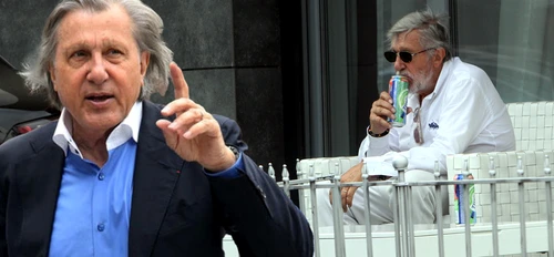 cub ilie nastase png