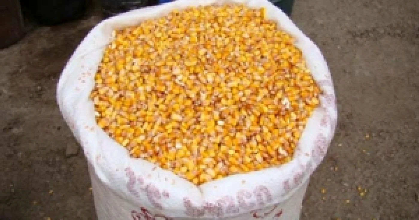foto rahiva 