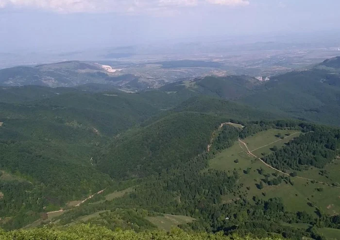 Drumul urcă din Valea Întregalde până la peste 1000 de metri altitudine Foto Nausica Popescu