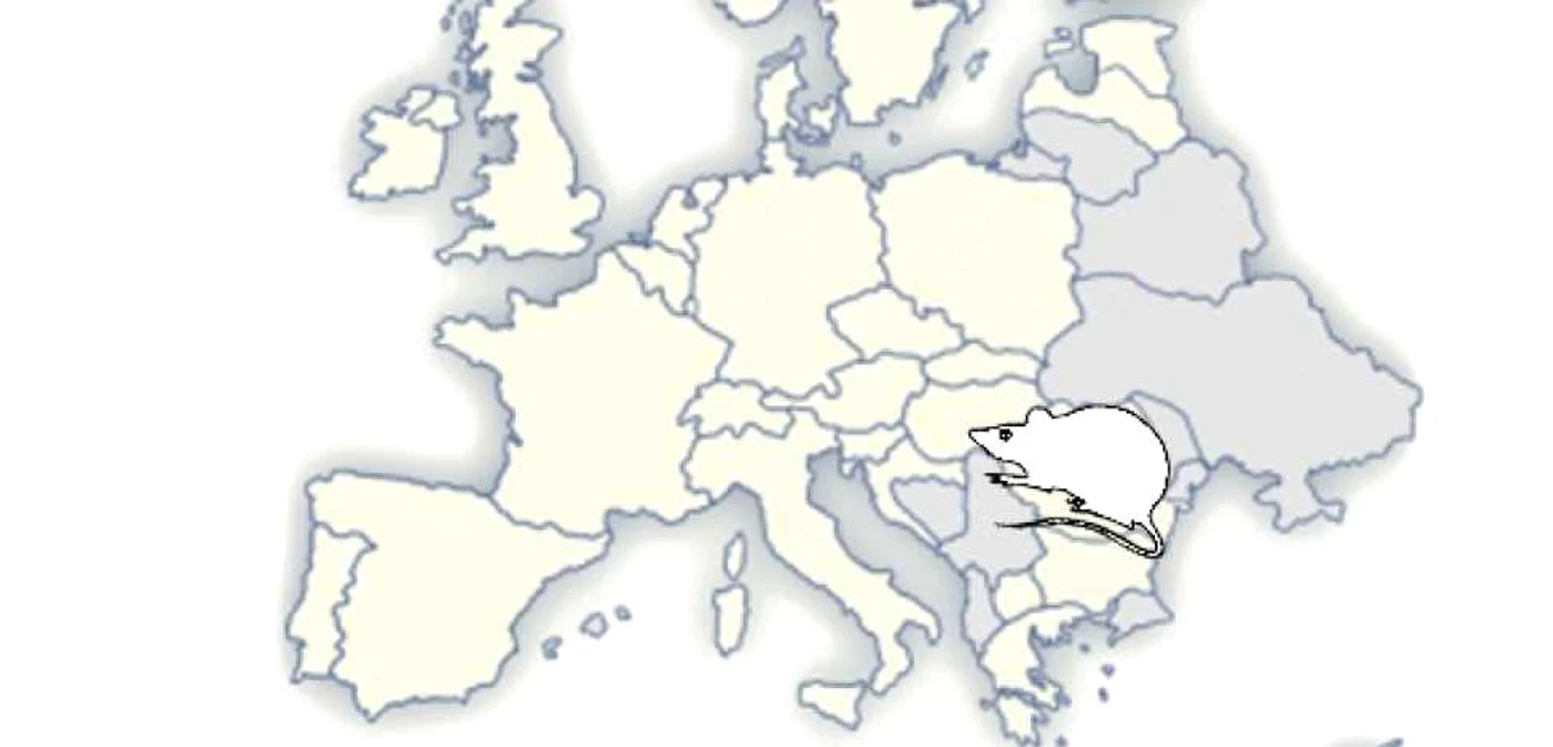 Imaginea României în lume