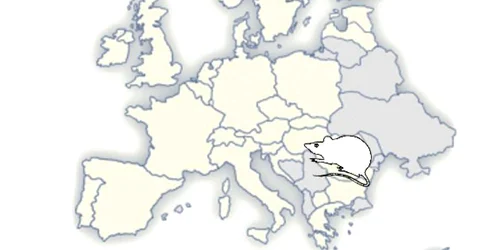 Imaginea României în lume