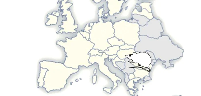 Imaginea României în lume