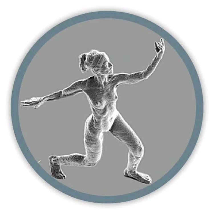 Sculpturile minuscule nu pot fi văzute decât la un microscop foarte puternic