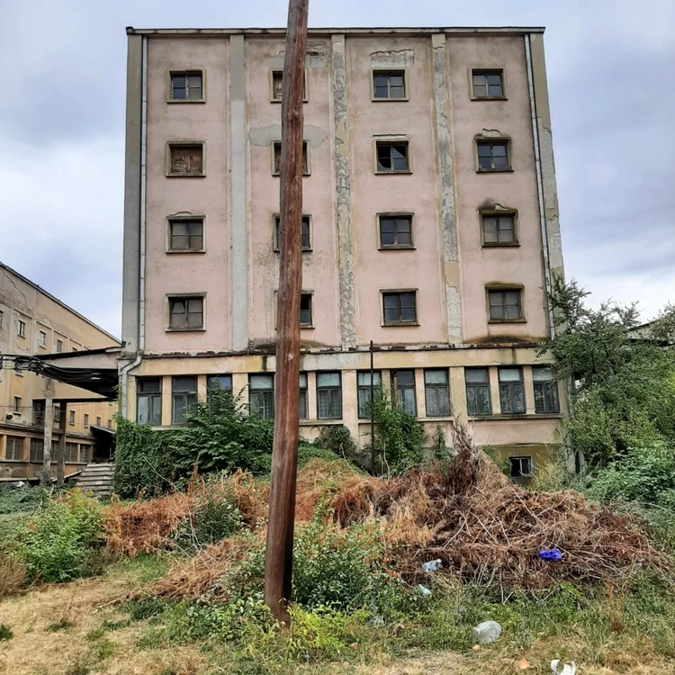 fabrica de tigarete