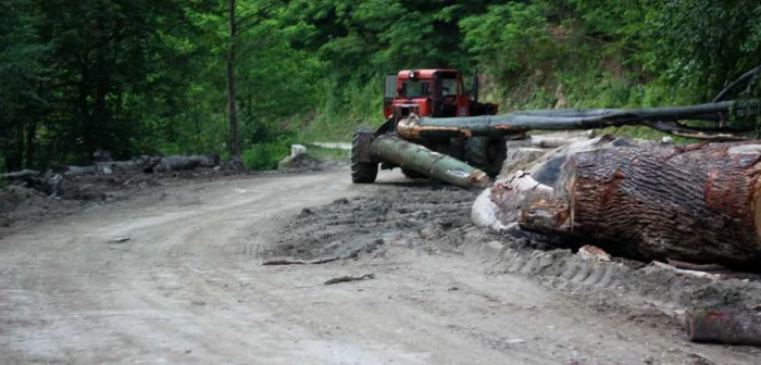 Drumul spre Sarmizegetusa este stricat de TAF-uri. FOTO: Daniel Guţă. ADEVĂRUL.