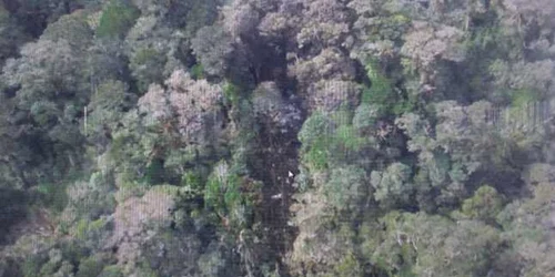 Imaginea dată publicităţii de Agenţia Naţională de Căutare şi Salvare (BASARNAS) din Indonezia arată părţi din aeronava prăbuşită în Papua Noua Guinee FOTO Agenţia Naţională de Căutare şi Salvare din Indonezia via AP 