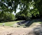 Saemizegetusa Regia  Foto Daniel Guță ADEVĂRUL (7) JPG