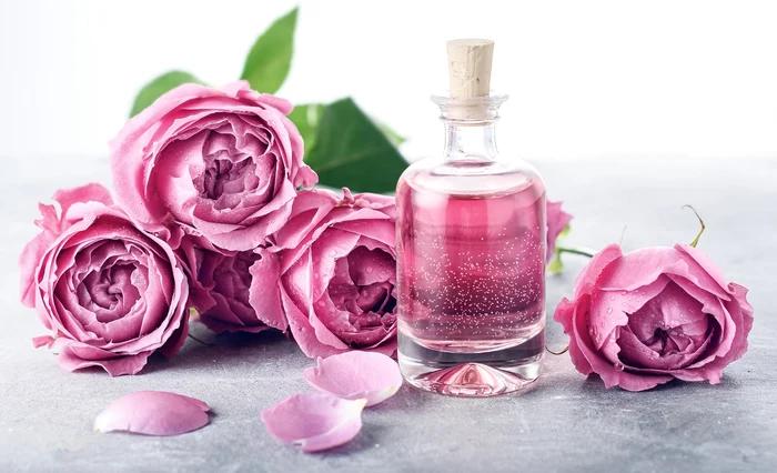 Trandafirii pot rezista mai mult cu un ingredient din bucătărie FOTO: Arhivă