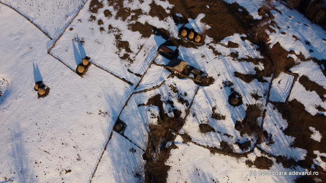 Poiana Omului Ianuarie 2024 Foto Daniel Guță ADEVĂRUL (73) JPG