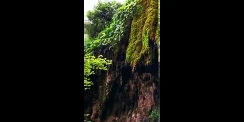 5ef084dd5163ec42712d13b2 jpg