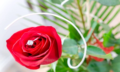 1 57147 original jpg jpeg