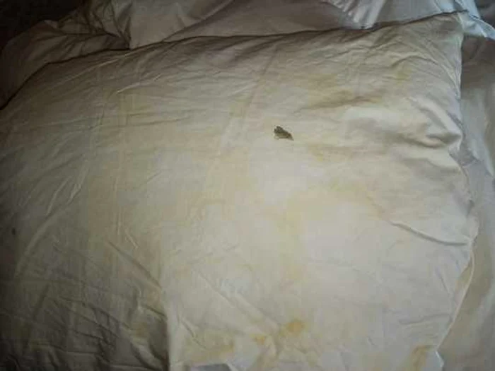 Nereguli în restaurantele și hotelurile din Târgoviște. FOTO ANPC