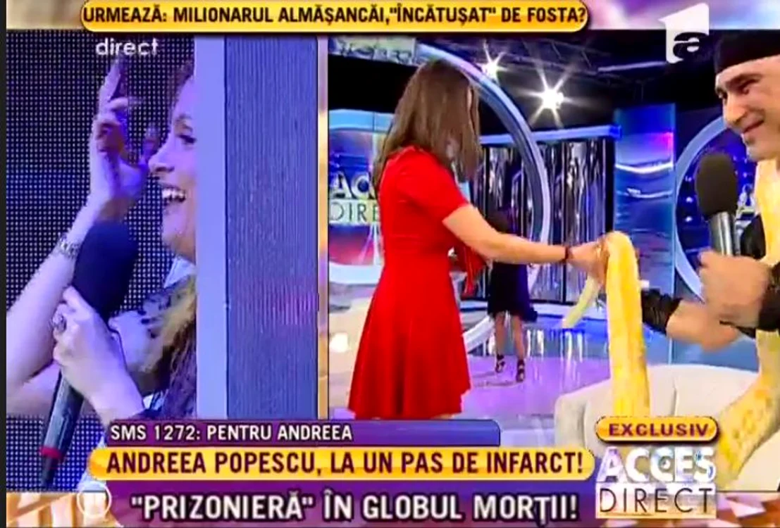 CLIIMA20140328_0140
