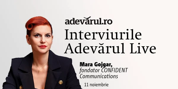Femeia antreprenor de succes  care aplică regulile tango ului in business mp4 thumbnail png