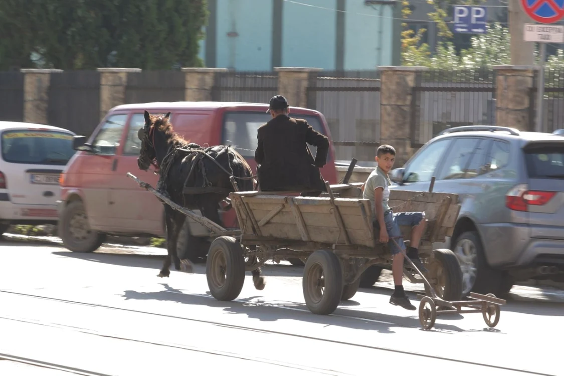 Vehiculele cu tracţiune animală încă pot fi întâlnite pe străzile oraşelor din România; Foto: Adevărul