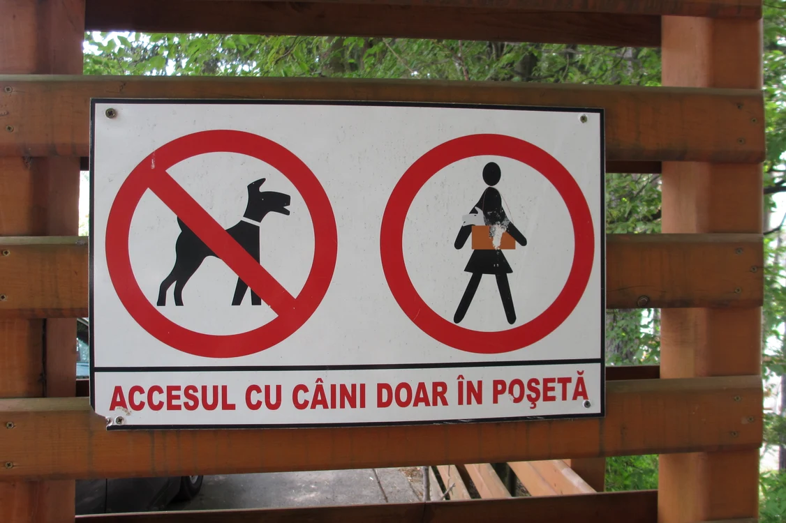 Cu ochii n 3,14 jpeg