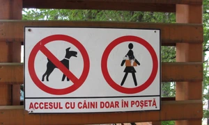 Cu ochii n 3,14 jpeg