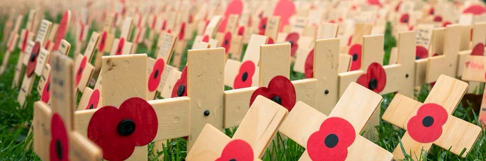 Wales cover cu maci jpg