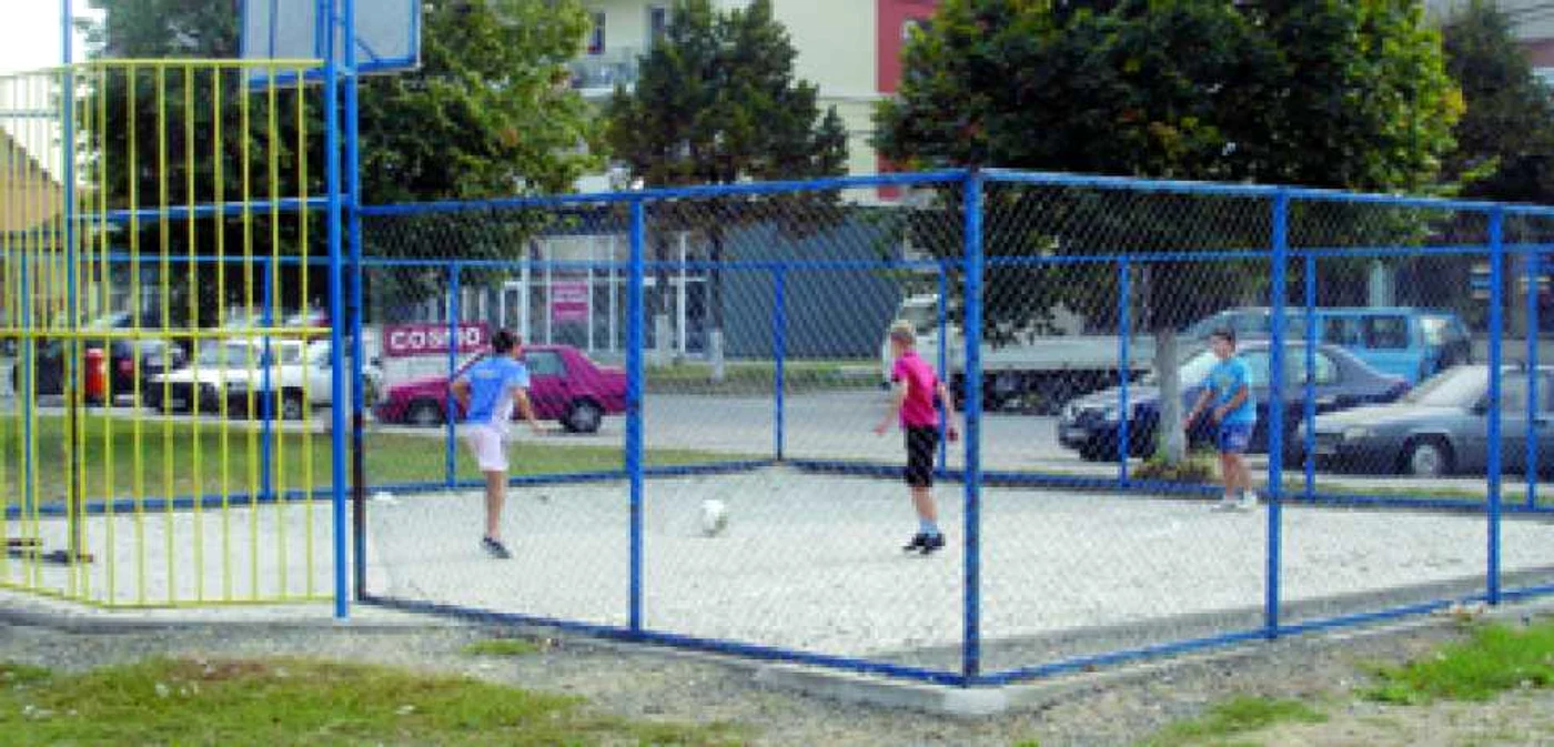 Arad: Miuţa lângă bloc în loc de televizor